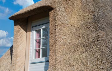 Lower Welson thatch roof disadvantages
